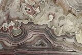 Polished Crazy Lace Agate - Mexico #194123-1